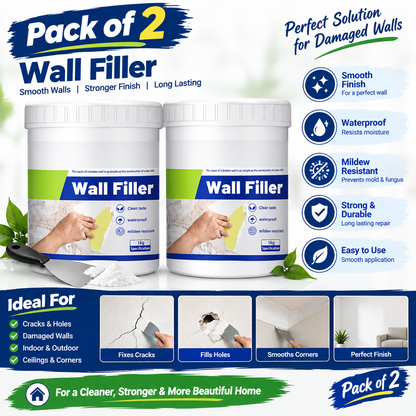 Wall repair paste with mold protection (Pack Of 2)