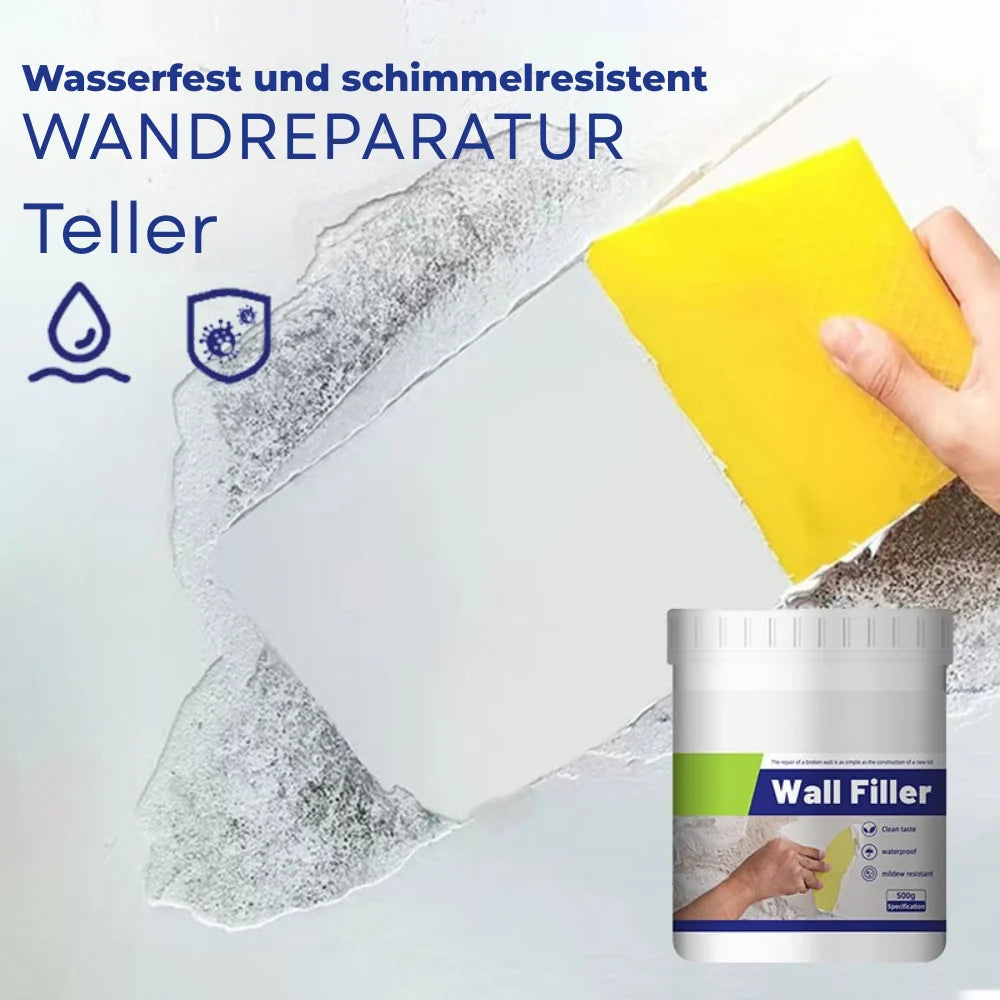Wall repair paste with mold protection (Pack Of 2)