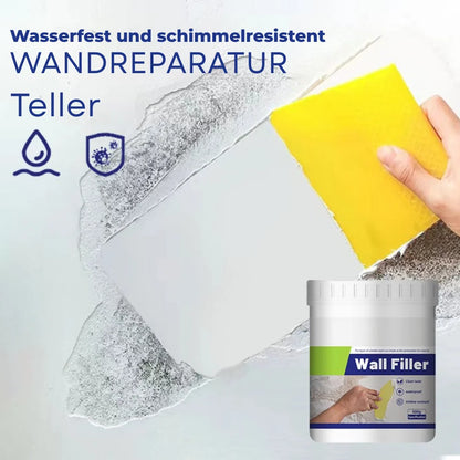 Wall repair paste with mold protection (Pack Of 2)