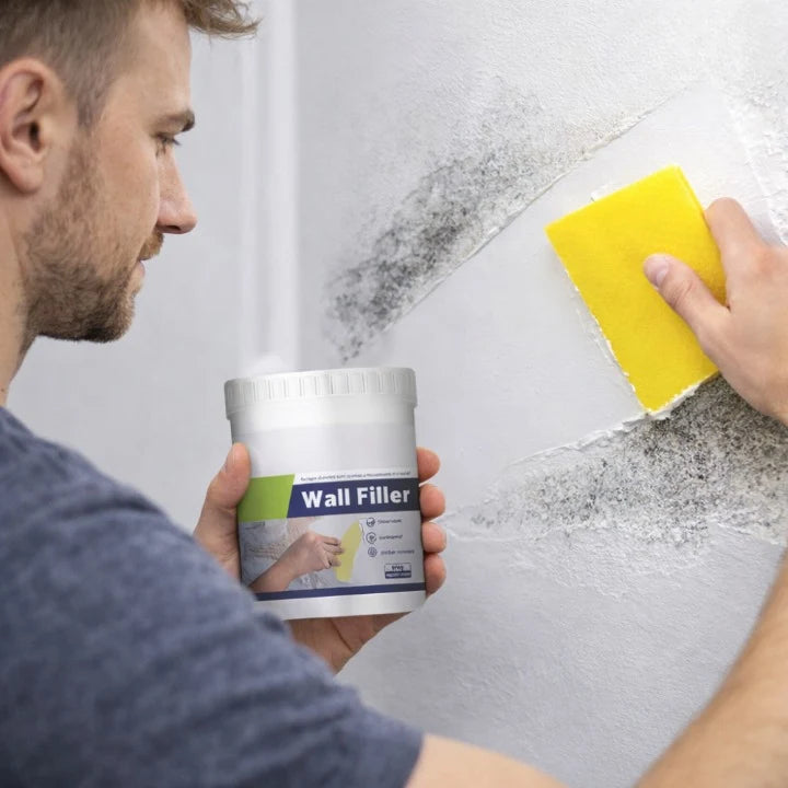 Wall repair paste with mold protection (Pack Of 2)